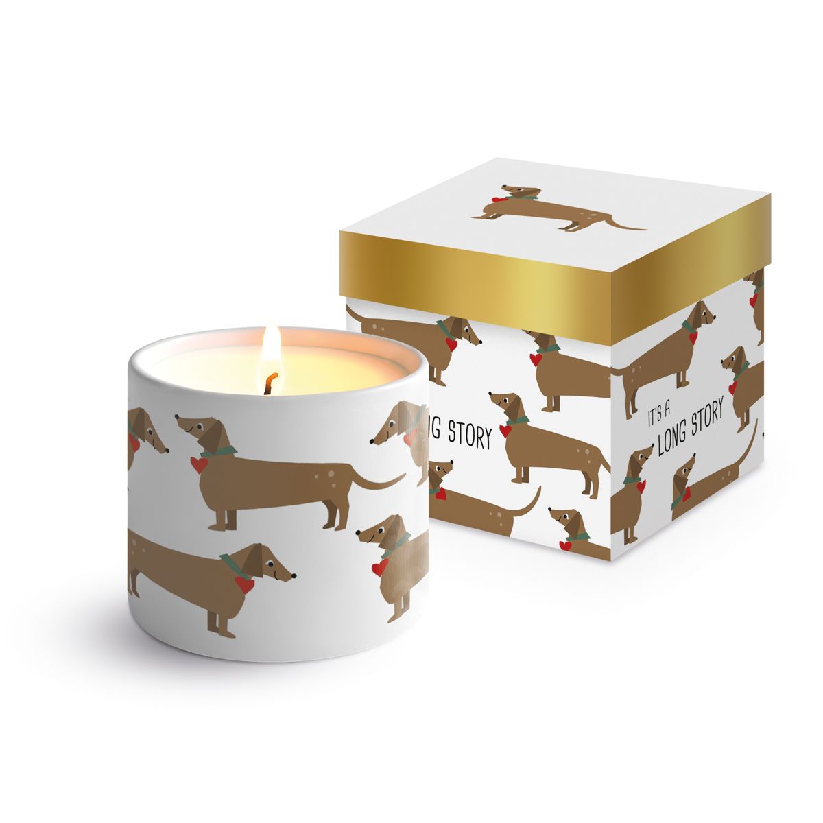 PPD Kerze „Long Story" Dackel-Motiv – Fine Bone China, 40 Std. Brenndauer, inkl. Geschenkkartonage