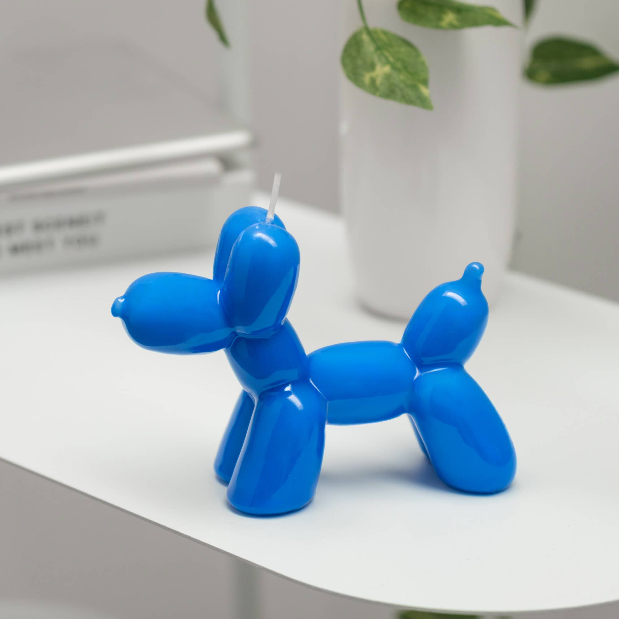 Ballonhund, blau