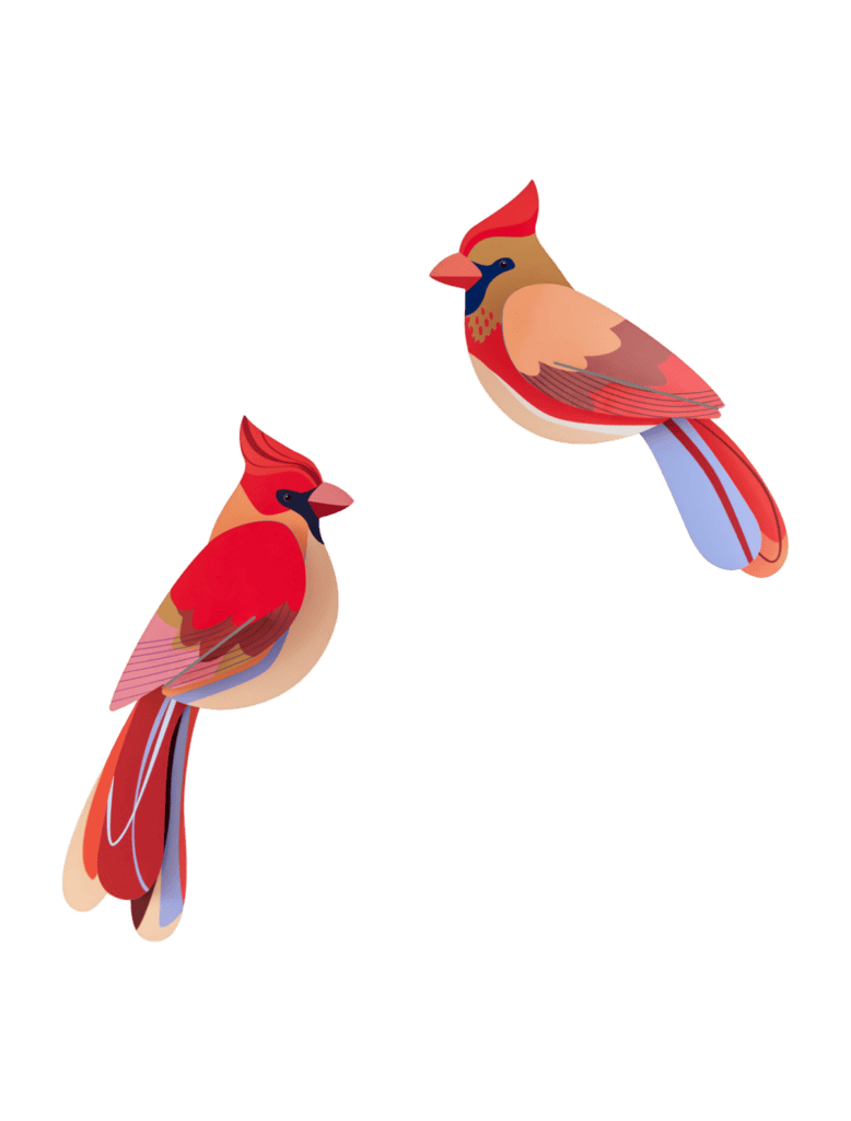 Wanddekoration, verschiedene Vögel, Set