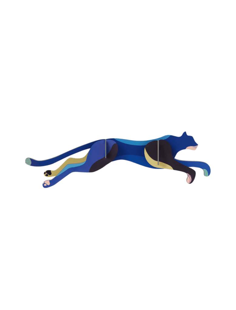 Panther, Wall Art