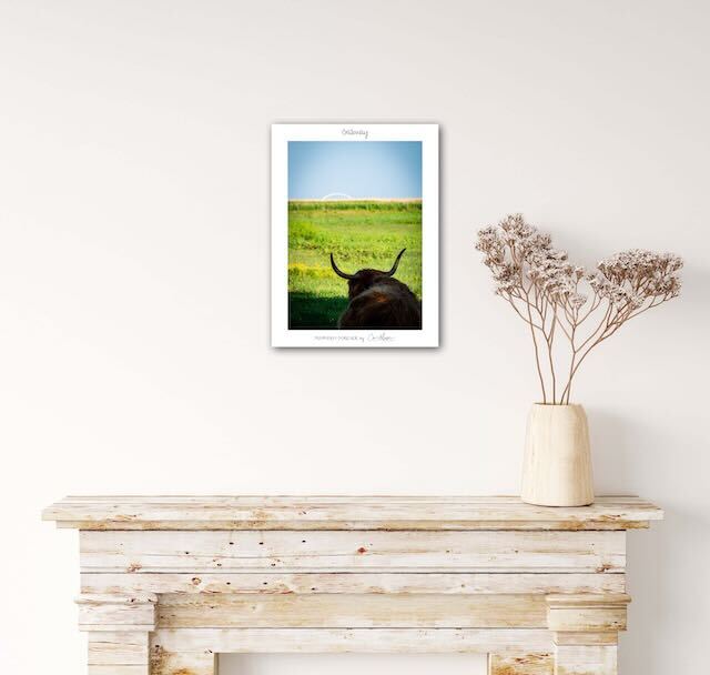 Poster Limited Edition "Fehmarn Forever" verschiedene Motive, 30 x 40 cm