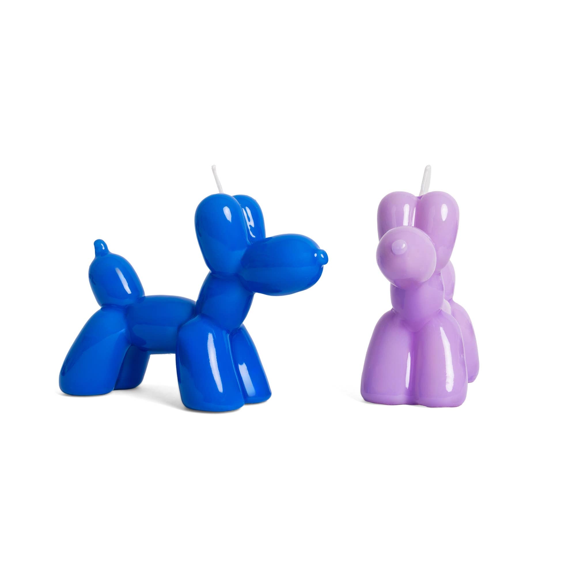 Ballonhund, blau