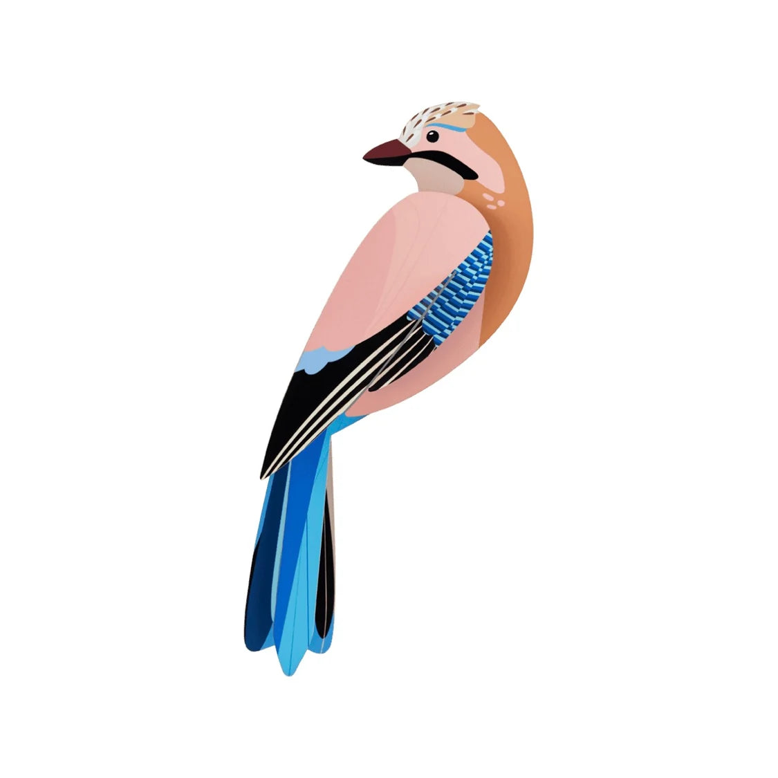 Vogel Jay Wall Art