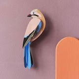 Vogel Jay Wall Art