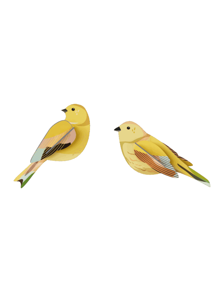 Wanddekoration, verschiedene Vögel, Set