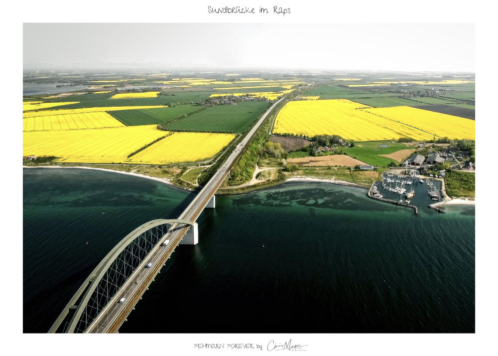 Sundbrücke im Raps FF Poster Motiv Querformat, verschiedene Grössen
