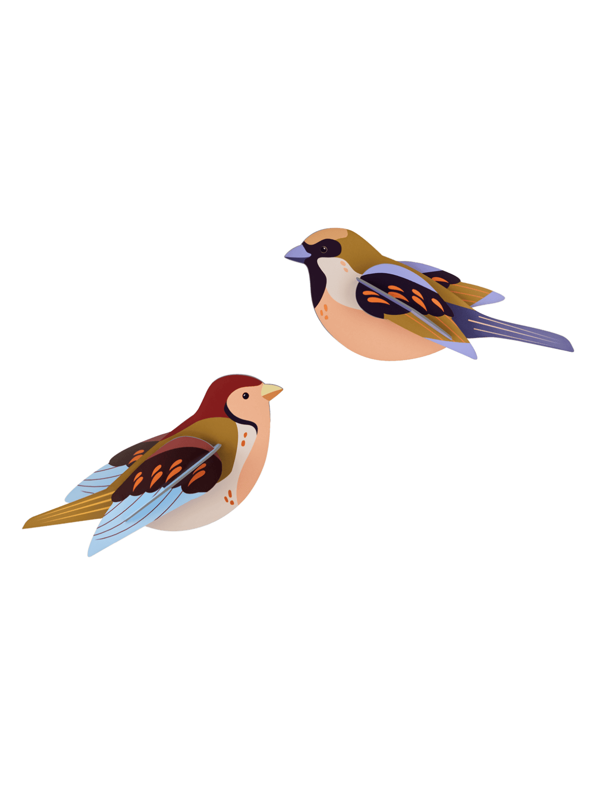 Vögel Set "Sparrows"